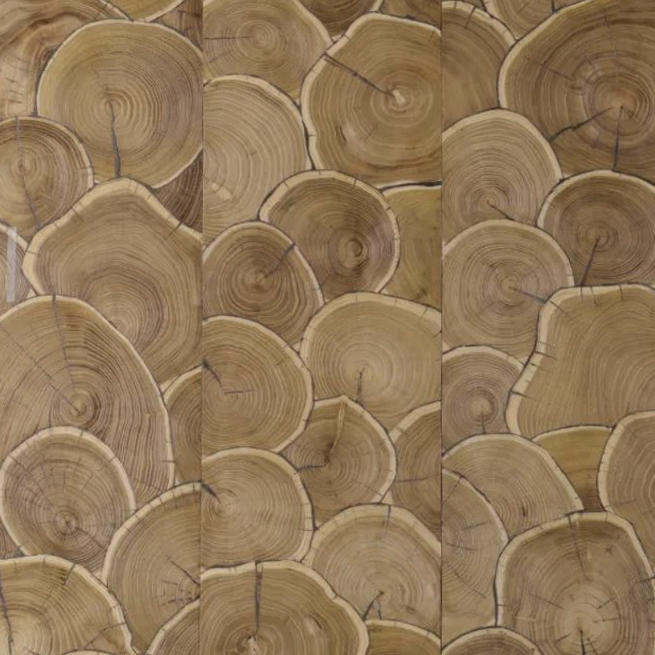 艺术地板年轮DIY橡木R539