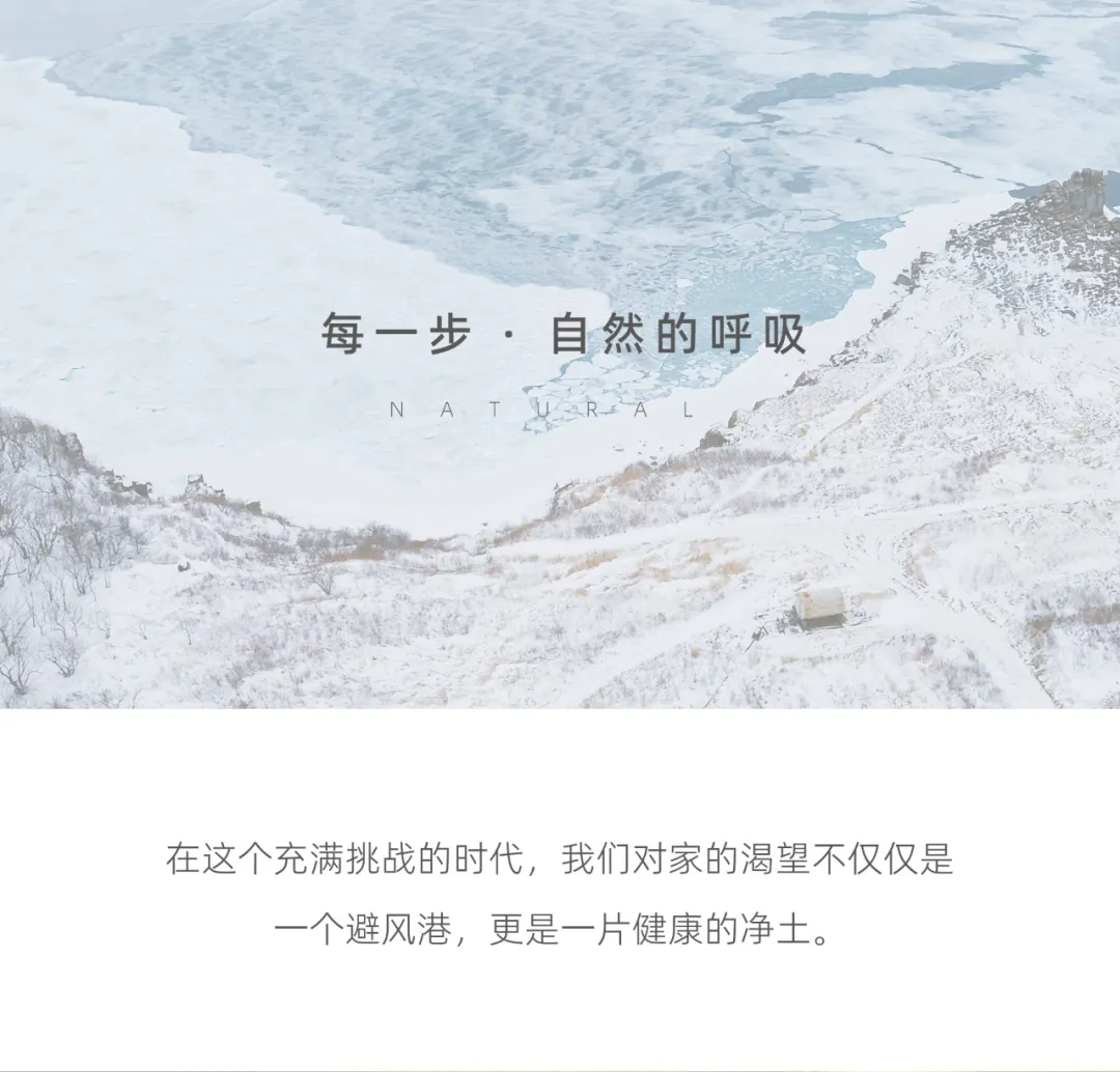 20044241.webp