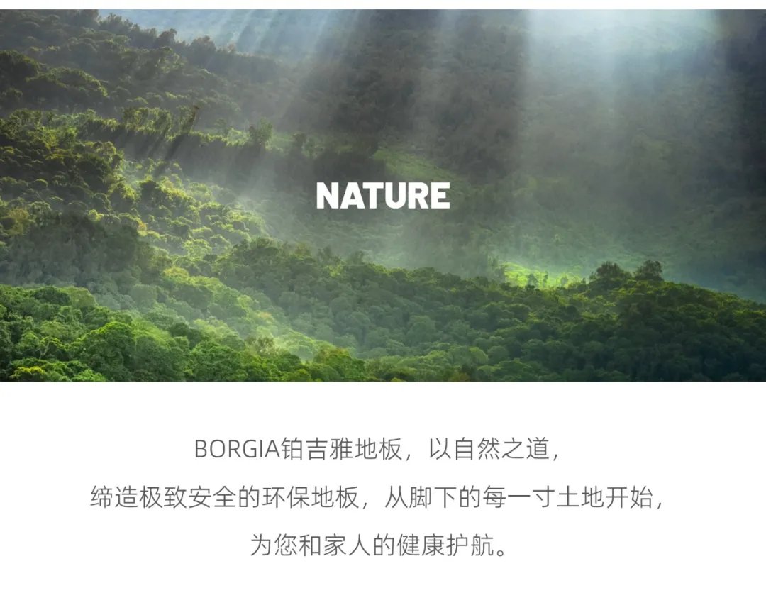 200442414.webp