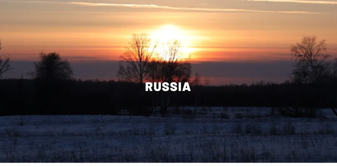 20044242.webp