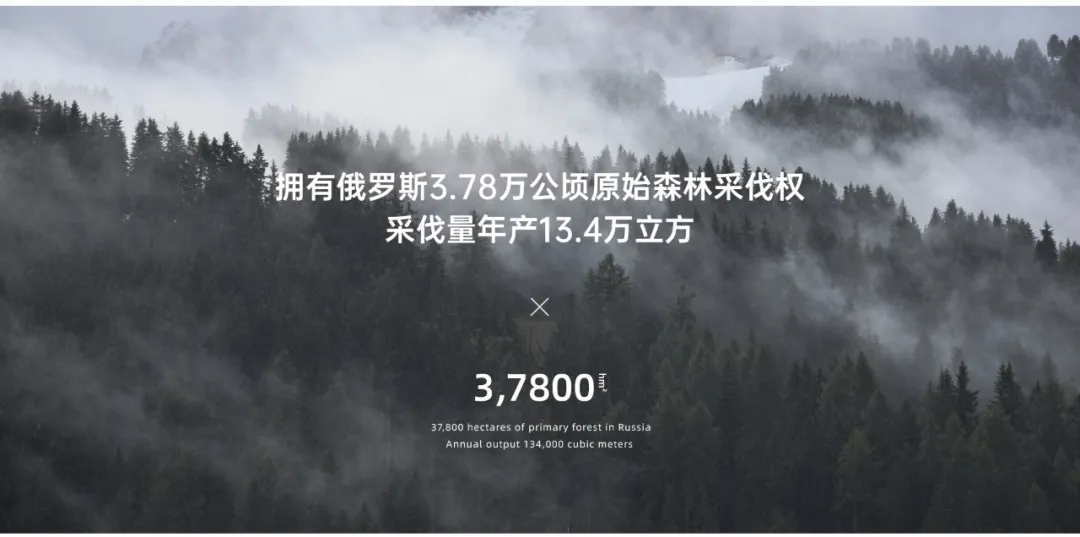 20044244.webp