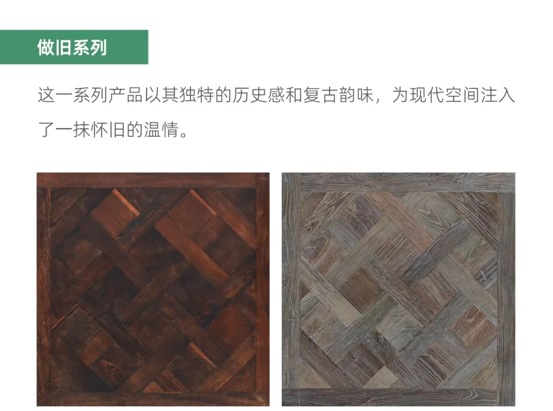 2024325213.webp