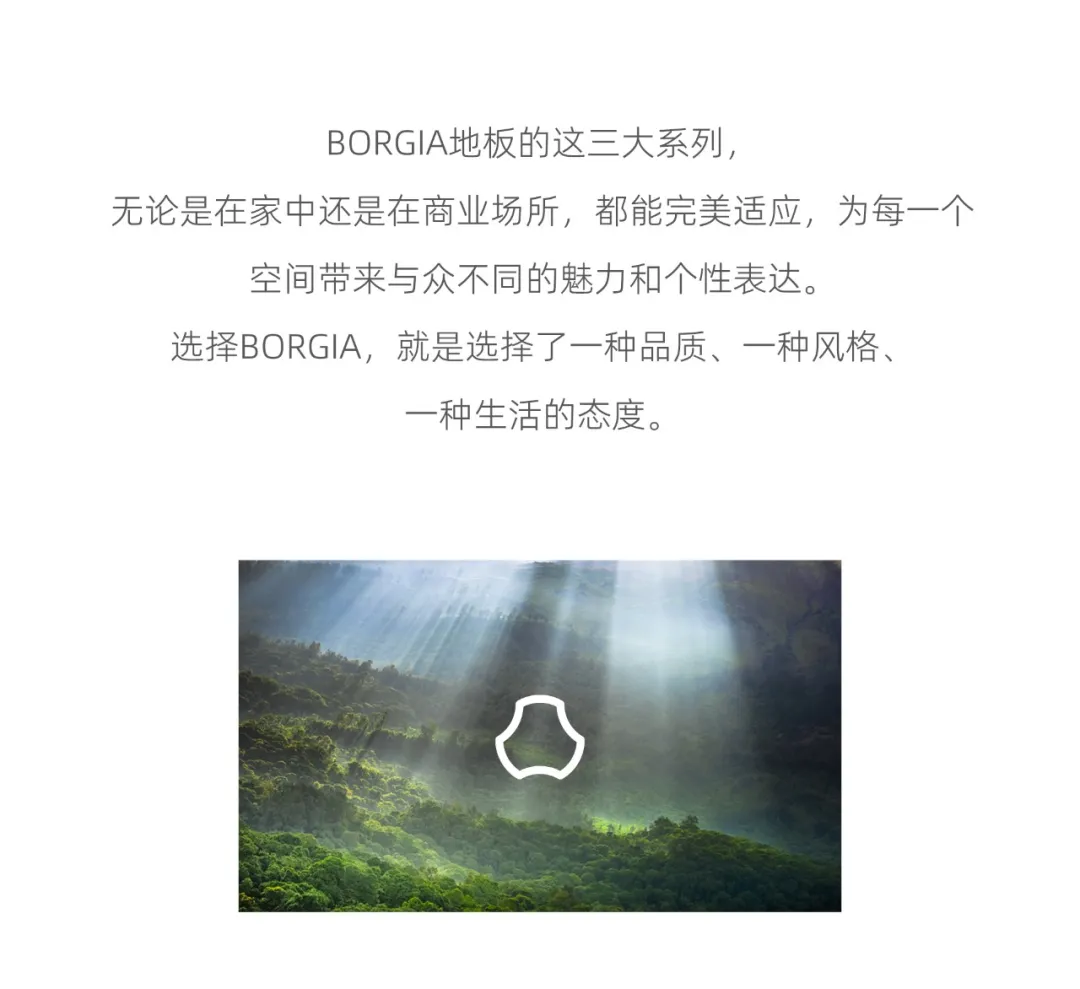 2024325217.webp