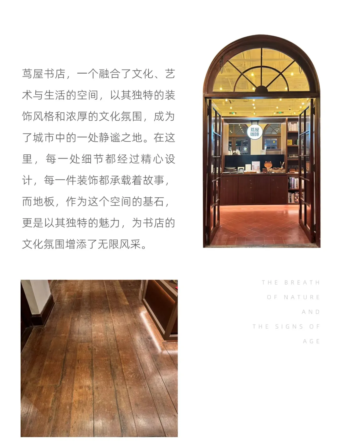 202432523.webp