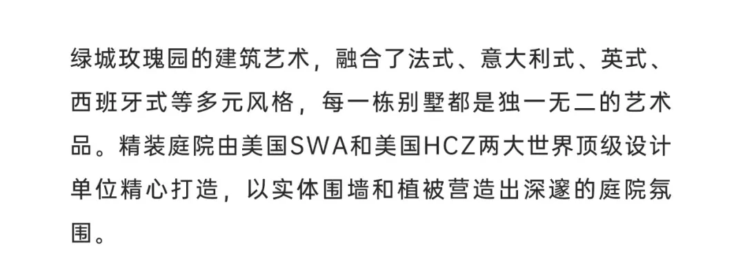 20245113.webp