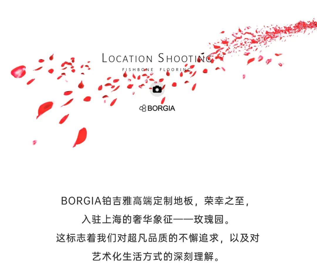 20245114.webp
