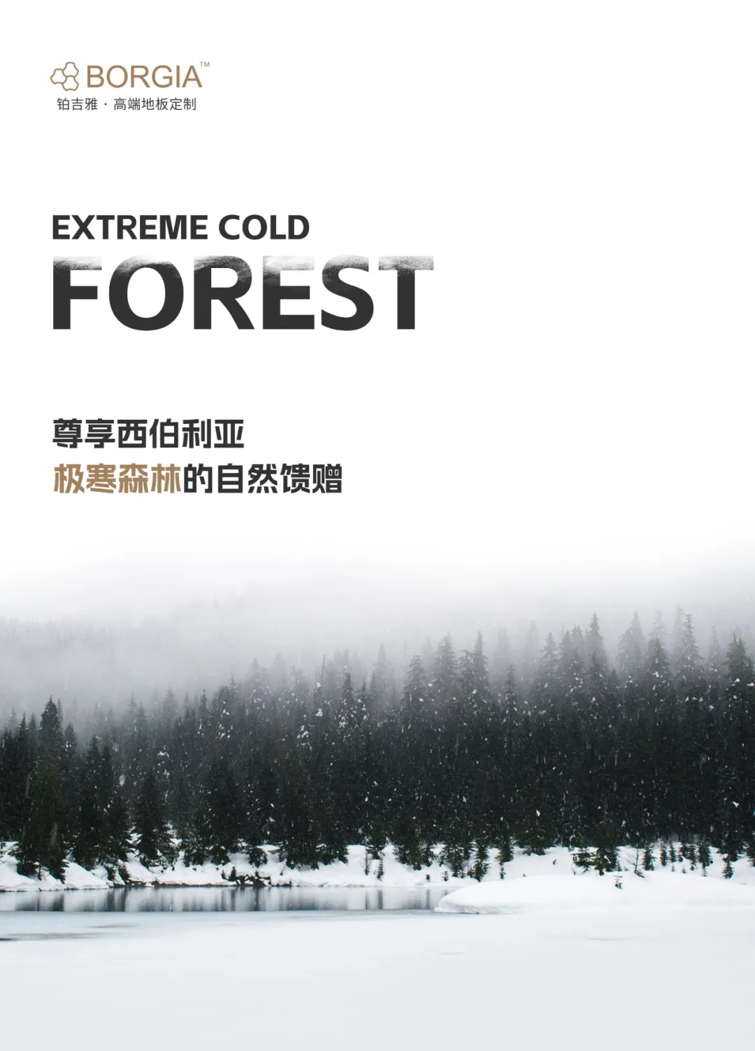 72210.webp
