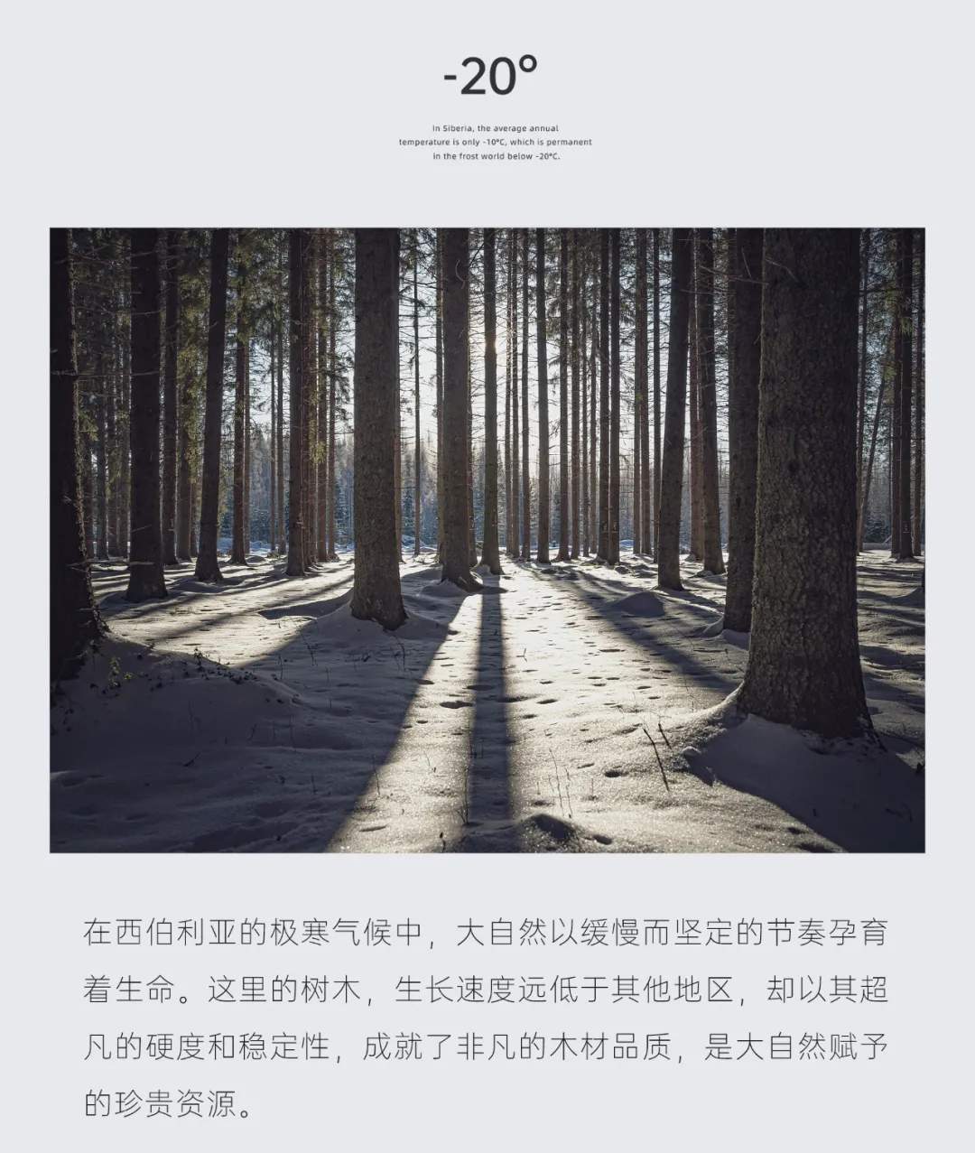 72211.webp