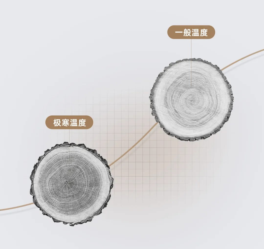 72212.webp