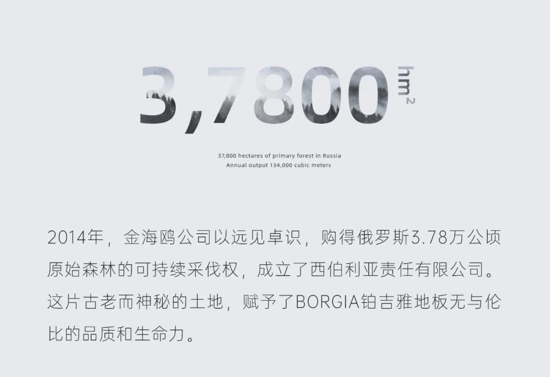 72214.webp