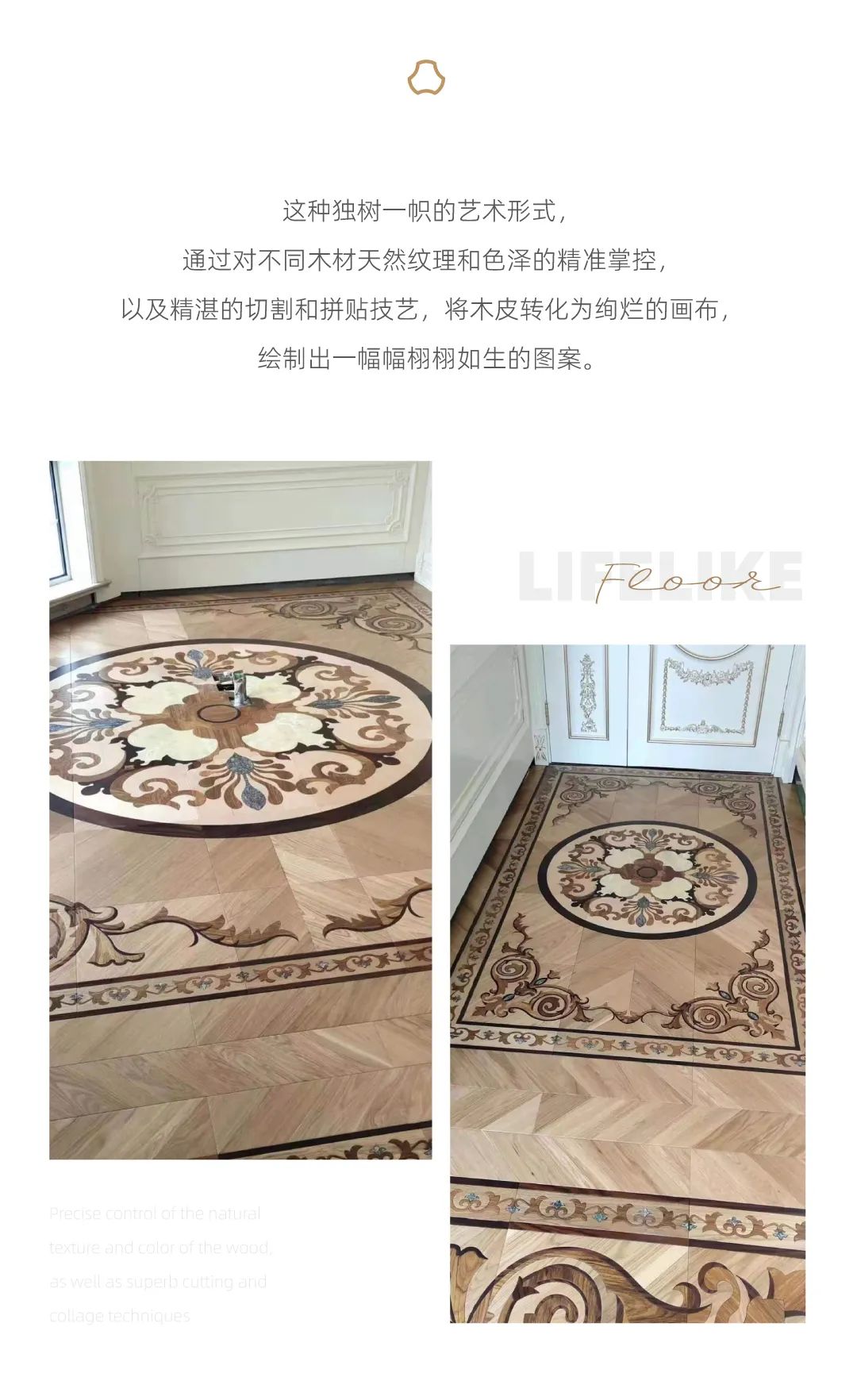 dengyishu3.jpg