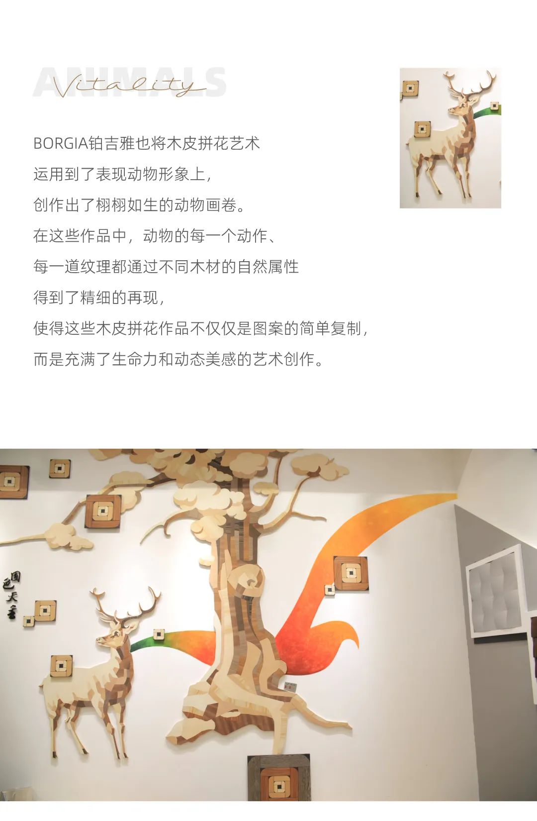 dengyishu5.jpg