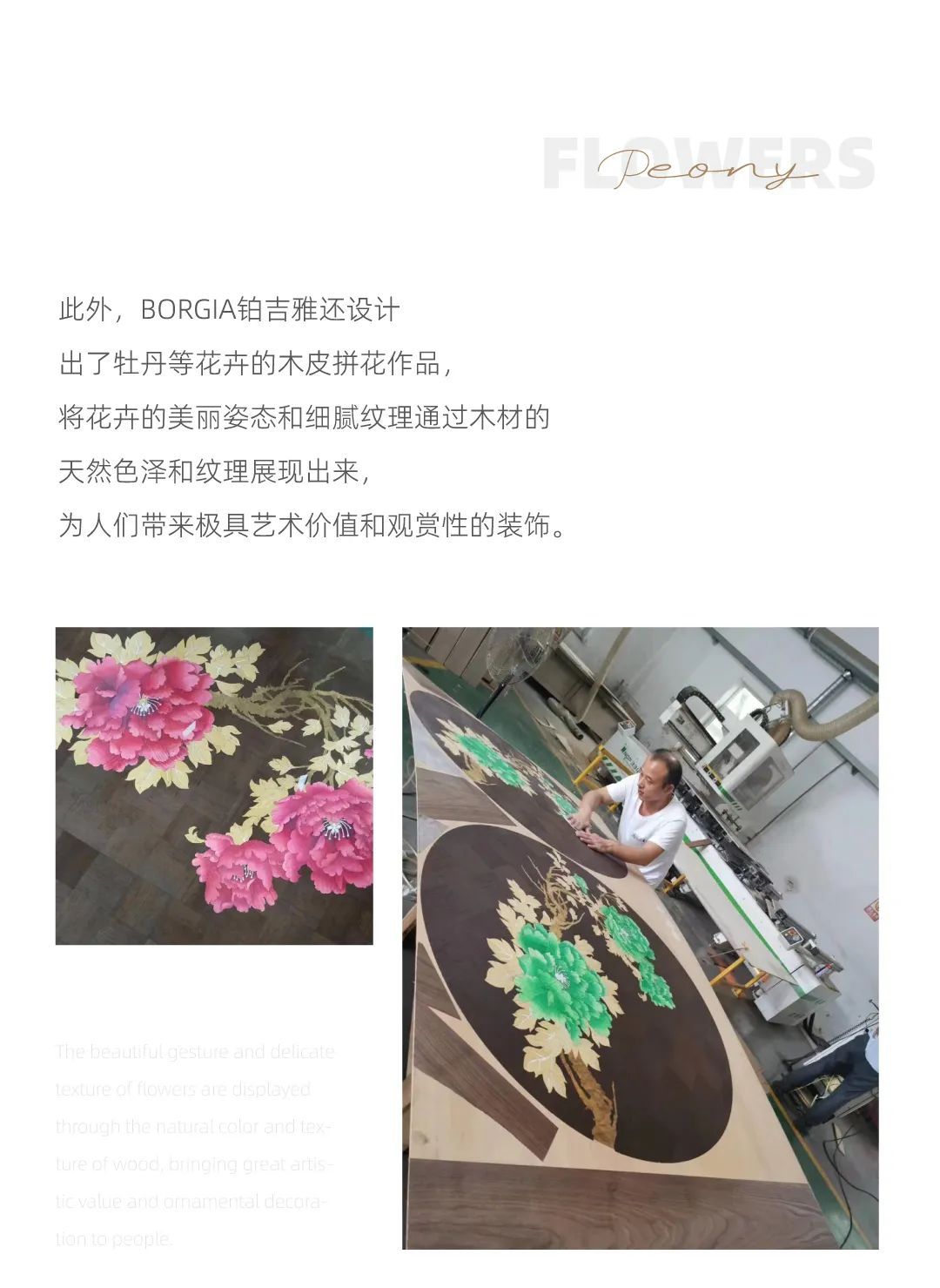 dengyishu6.jpg