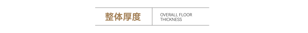 ruhe5.png