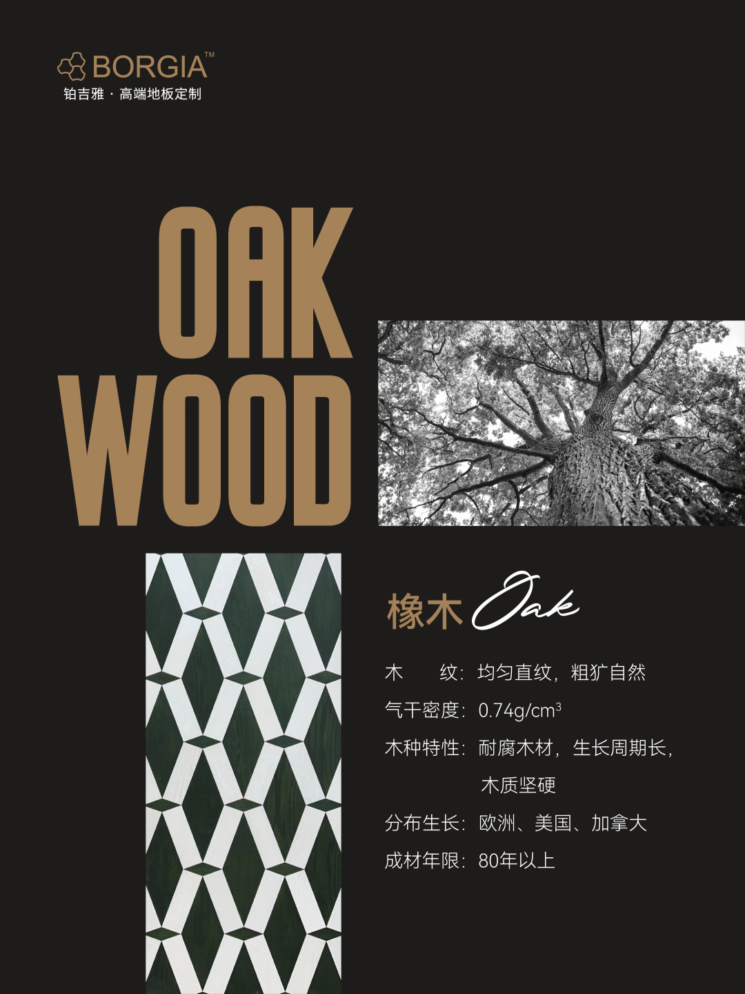 xiangmu8208.png